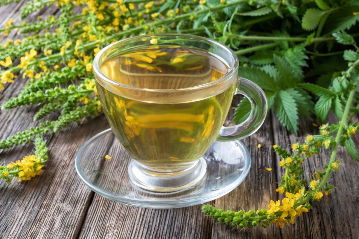 カップの中のカブ茶