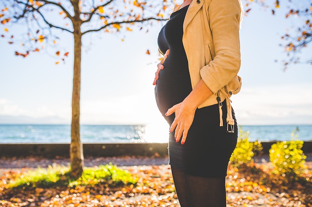 秋の木の前に立つ妊婦