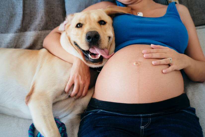 妊婦とペット：Getty Images